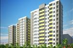Nội thất các căn hộ được chắt lọc những gì tốt nhất của phong cách thiết kế kiến trúc sinh thái bền vững. Các căn hộ đều được thiết kế với nhiều mặt thoáng, các phòng đều được tiếp xúc với thiên nhiên, tận dụng tối đa việc lấy ánh sáng tự nhiên từ bên ngoài.