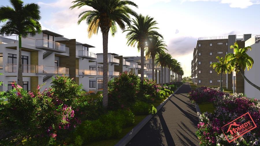 Diamond Bay City