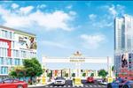 Mega City được ví như một "siêu đô thị" thu nhỏ tại Bình Dương. Dự án có quy mô lên đến gần 3000 nền đất và nhà phố, được dự kiến sẽ có mặt trên thị trường nhà đất vào giữa năm 2017.
