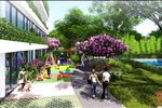 Không chỉ có cảnh biển, Vietpearl City còn sở hữu một khuôn viên cây xanh rộng lớn, mang lại cho cư dân cũng như khách hàng của mình một bầu không khí tươi mát, xanh - sạch - đẹp. 
