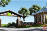 Green Oasis Villas được lấy cảm hứng từ hình ảnh những hòn đảo nghỉ dưỡng đẳng cấp ở Hawai nổi bật giữa màu xanh của đại dương mang lại cảm giác phấn khích, xua tan đi những mệt mỏi của cuộc sống thường nhật. 