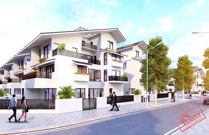 Iris Homes