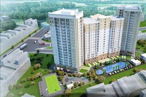 Centum Wealth