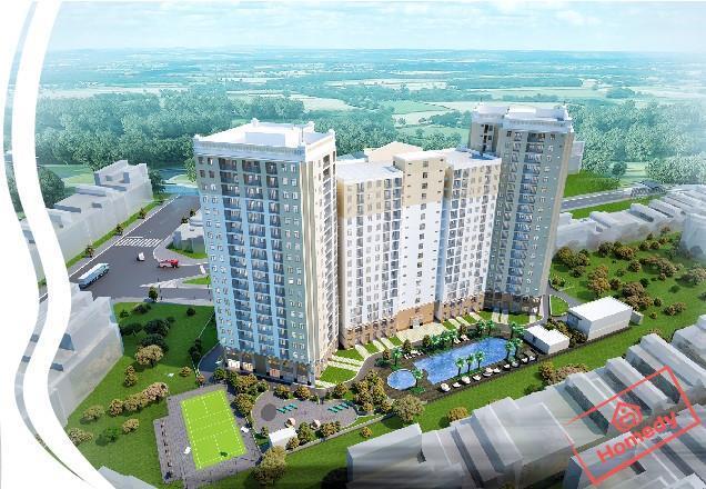 centum wealth