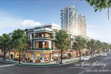 Dự án Khu đô thị Barya Citi - ảnh giới thiệu