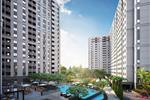 First Home Premium Bình Dương tọa lạc tại mặt tiền đại lộ Bình Dương, Đường Đại lộ Bình Dương, Phường Hưng Định, Xã Thuận An, Thành phố Bình Dương. 