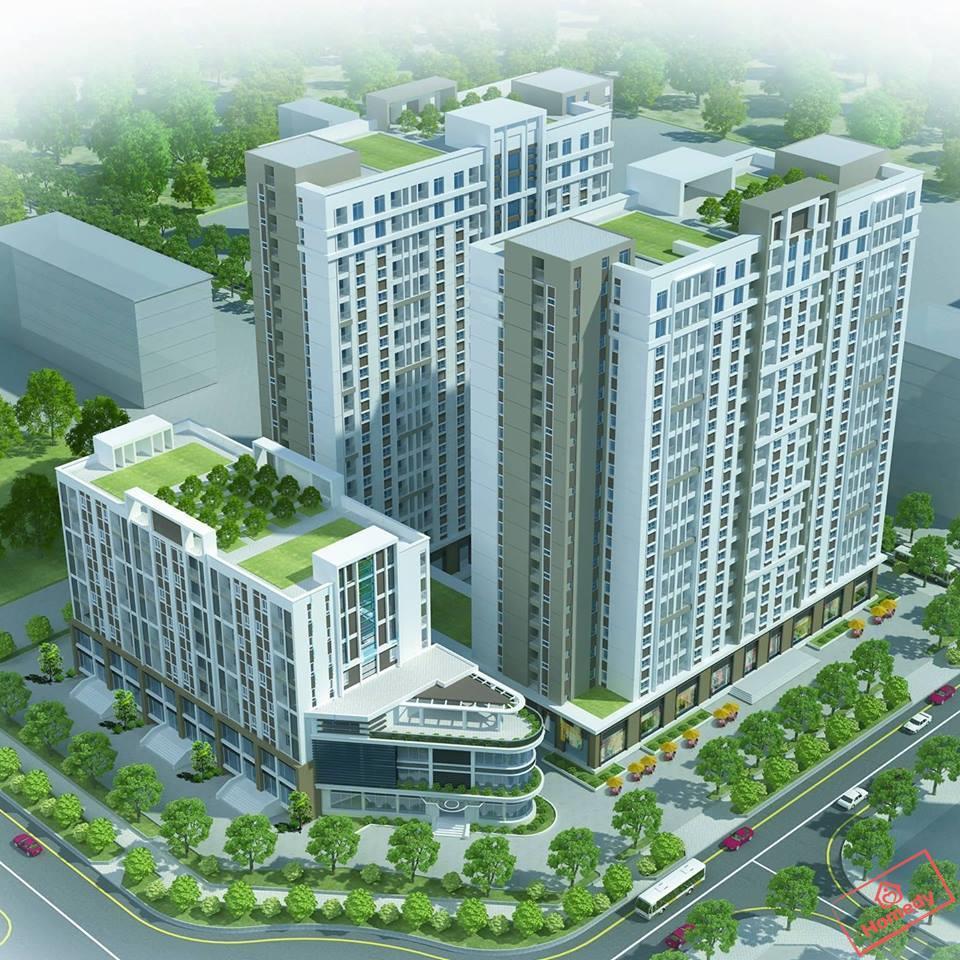nha o xa hoi v-city