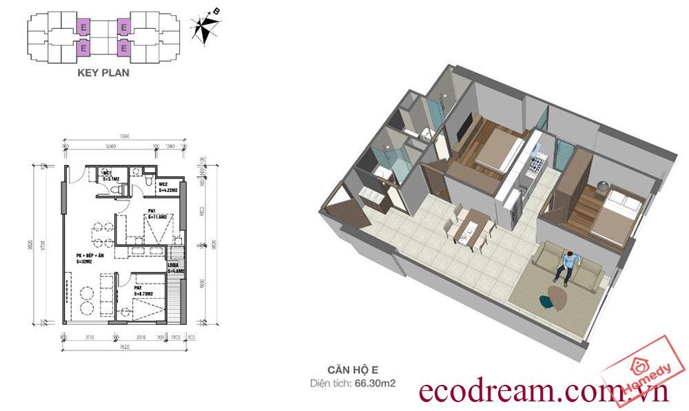 eco dream