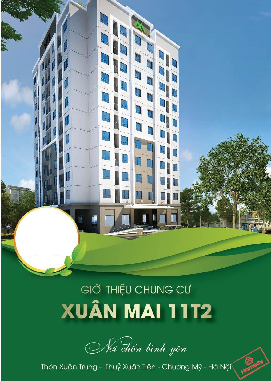 xuan mai 11t2