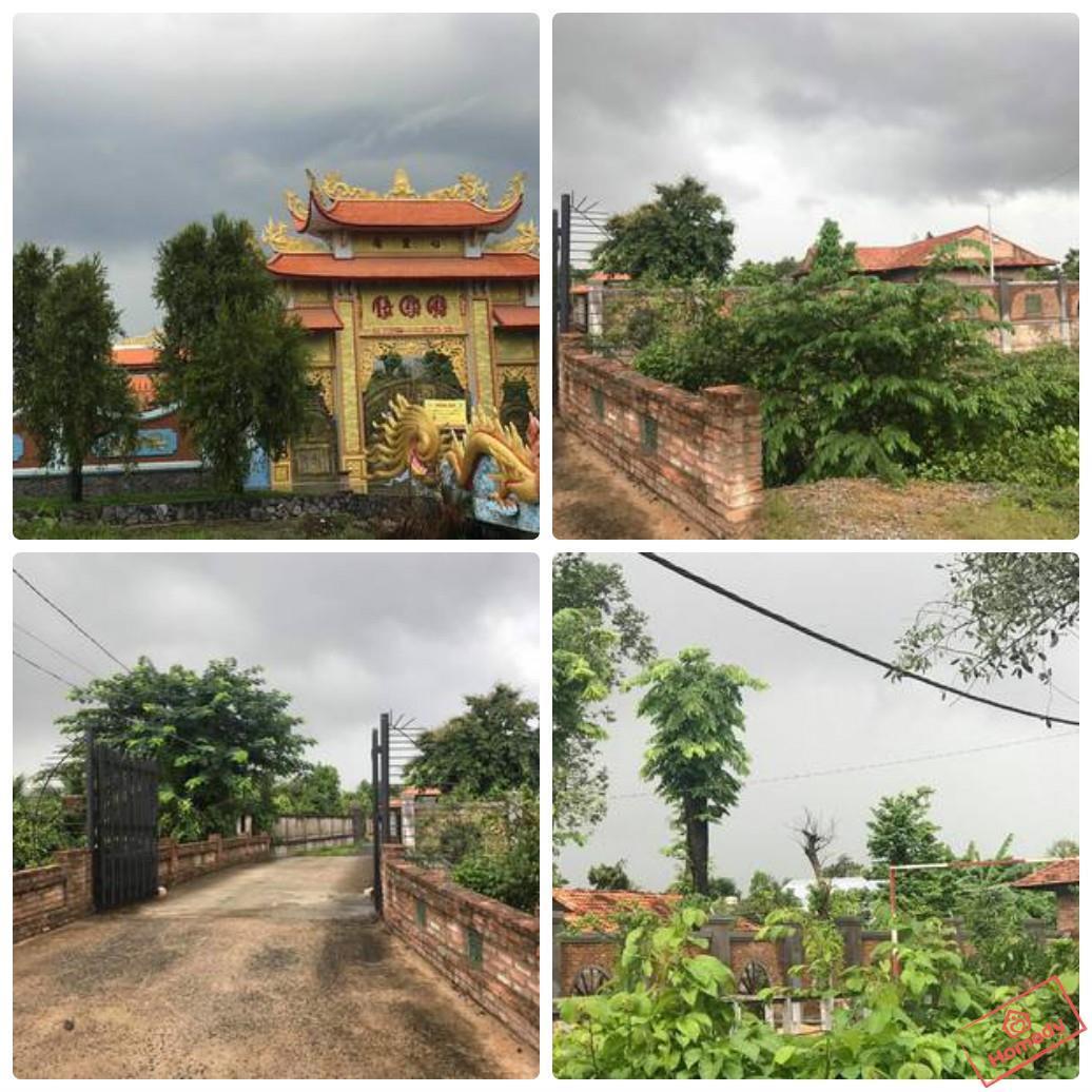dai phuc green stone