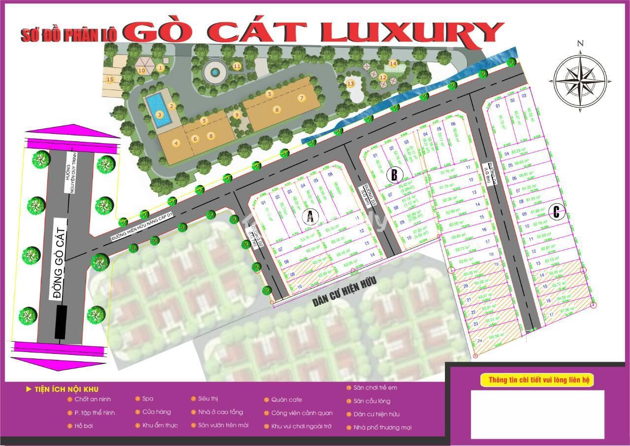 go cat luxury