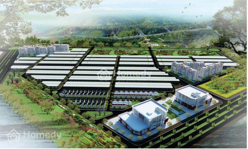 victoria city long thanh