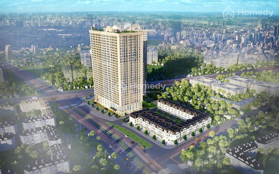 Aurora Garden