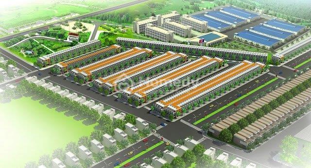 new life binh duong