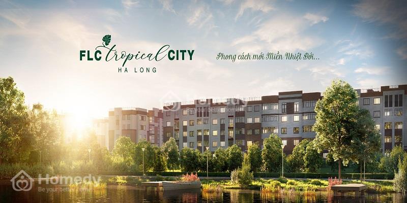 FLC tropical city