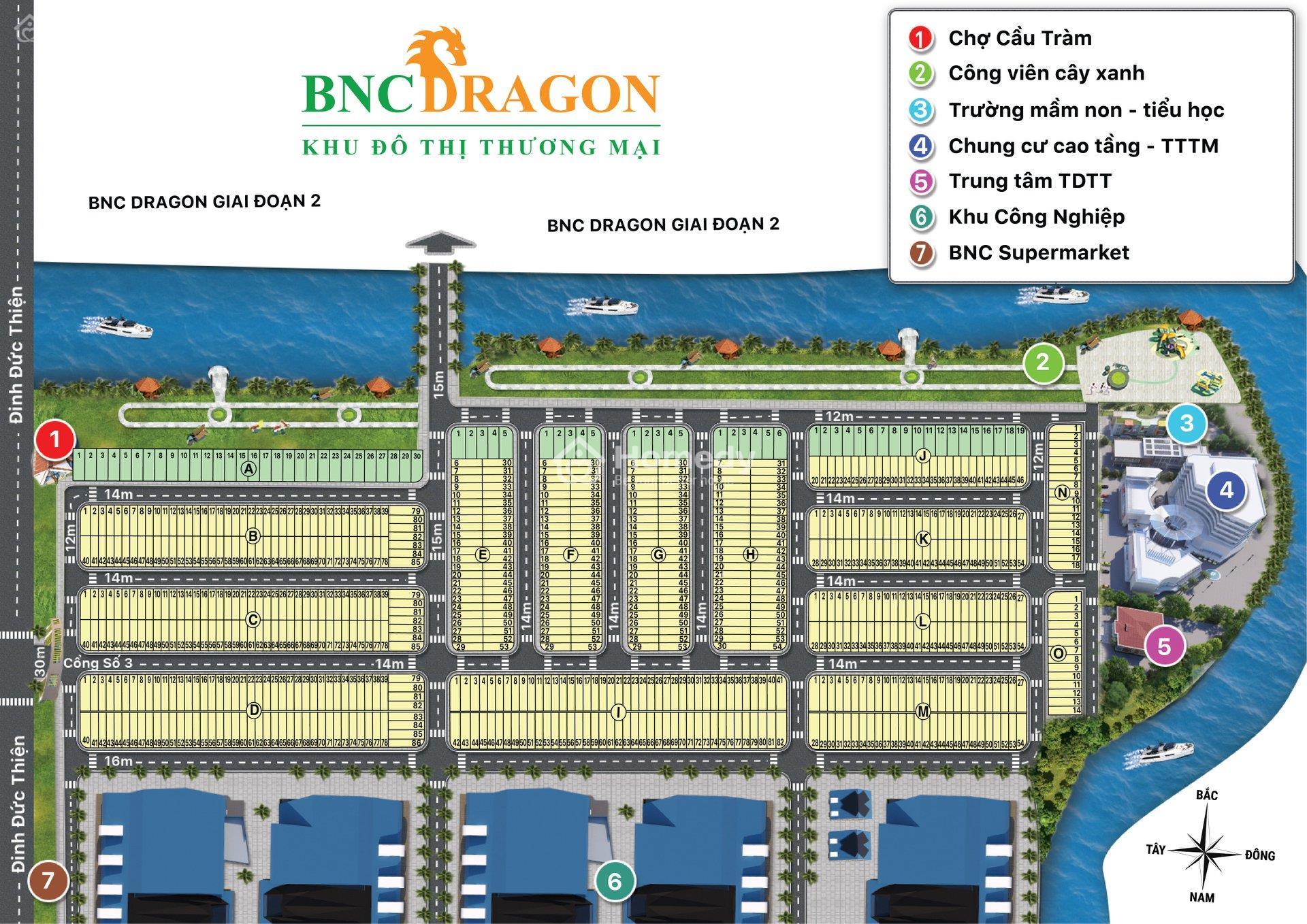 BNC Dragon
