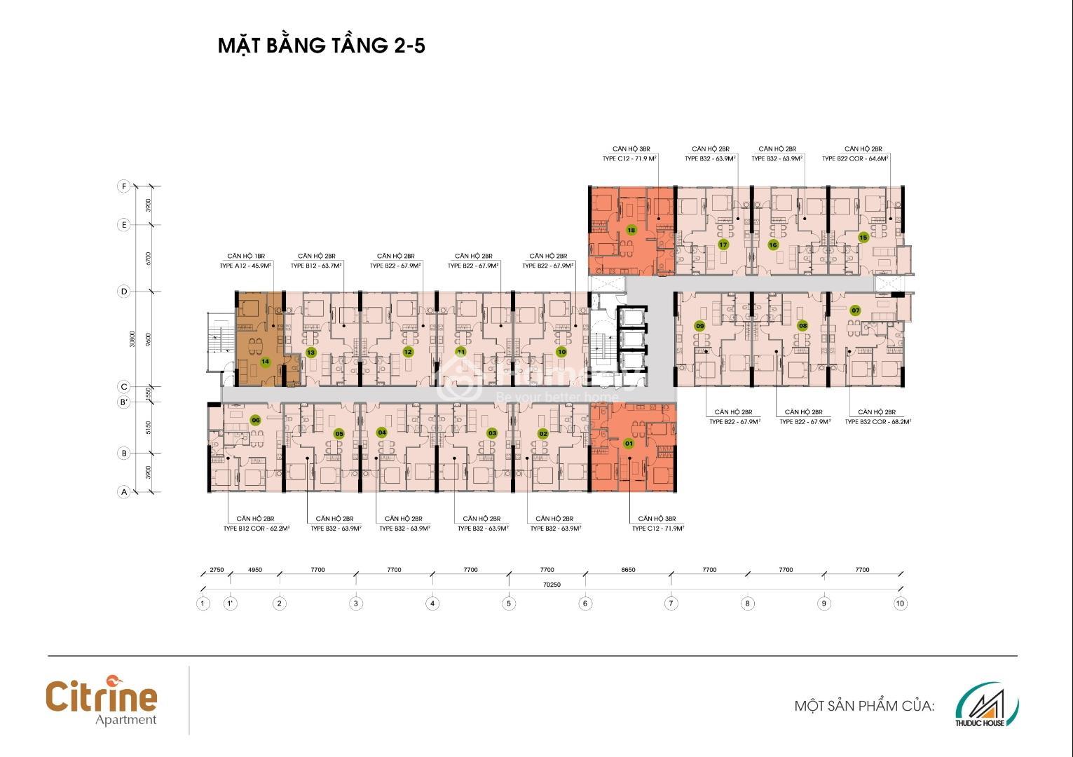 Mặt bằng Citrine Apartment