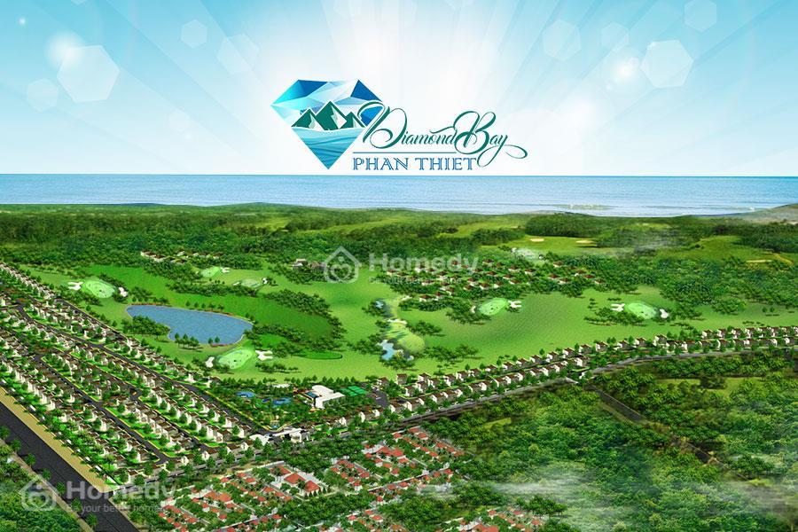 diamond bay