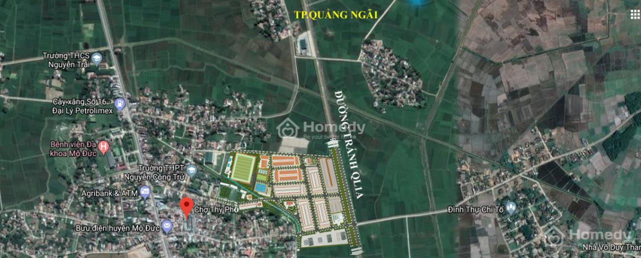 thi pho center