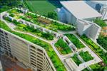 Với tổng diện tích lên tới hơn 4000m2 cung ứng 475 căn hộ đa dạng các loại diện tích từ 41m2 đến 85m2. 