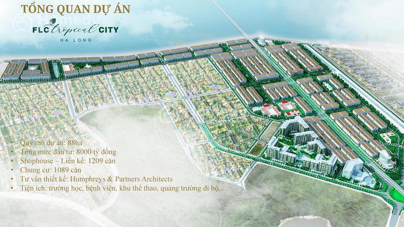 FLC tropical city