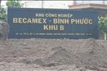 Dự án Đất nền tái định cư Becamex Chơn Thành Bình Phước - ảnh tổng quan - 8