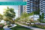 Dự án căn hộ D’Lusso Quận 2 - ảnh tổng quan - 6