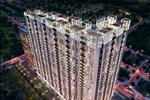 CitiGrand - ảnh tổng quan - 1