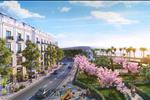 Dự án Green Dragon City - ảnh tổng quan - 4