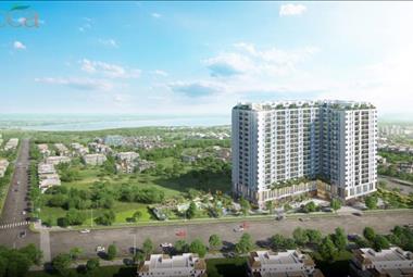 Dự án Ricca - ảnh giới thiệu