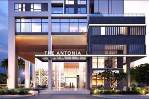 The Antonia