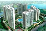 Velona - ảnh tổng quan - 2