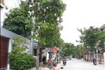 Dự án Khu dân cư Tấn Trường - ảnh tổng quan - 9