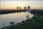 The Island Bay - ảnh tổng quan - 7