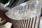 Dự án Căn hộ Celesta Rise Nhà Bè - ảnh tổng quan - 7