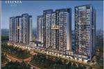 Dự án Căn hộ Celesta Rise Nhà Bè - ảnh tổng quan - 3