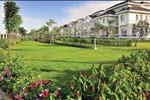 Khu biệt thự lâu đài Chateau - ảnh tổng quan - 11