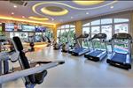 Khu biệt thự lâu đài Chateau - ảnh tổng quan - 8