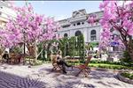 Dự án Paris Elysor - ảnh tổng quan - 3