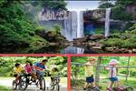 Dự án Gia Lai New City - ảnh tổng quan - 13