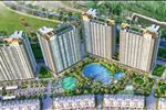 Dự án Hồ Tràm Complex - ảnh tổng quan - 27