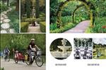 Dự án Royal Riverside Dương Đông - ảnh tổng quan - 6