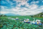 Dự án Vườn Vua Resort & Villas Phú Thọ - ảnh tổng quan - 2