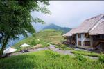 Dự án Làng sinh thái La Nature - ảnh tổng quan - 3