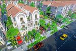 Dự án Biệt thự Centa Villas - ảnh tổng quan - 7