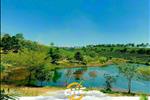 Dự án Forest Hill Bảo Lộc - ảnh tổng quan - 14
