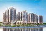 Dự án Golden City Tây Ninh - ảnh tổng quan - 1
