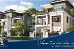 Dự án Fenice Paradise Nhơn Trạch - ảnh tổng quan - 1