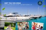 Dự án Fenice Paradise Nhơn Trạch - ảnh tổng quan - 5