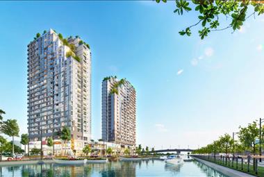 Dự án D - Aqua - ảnh giới thiệu